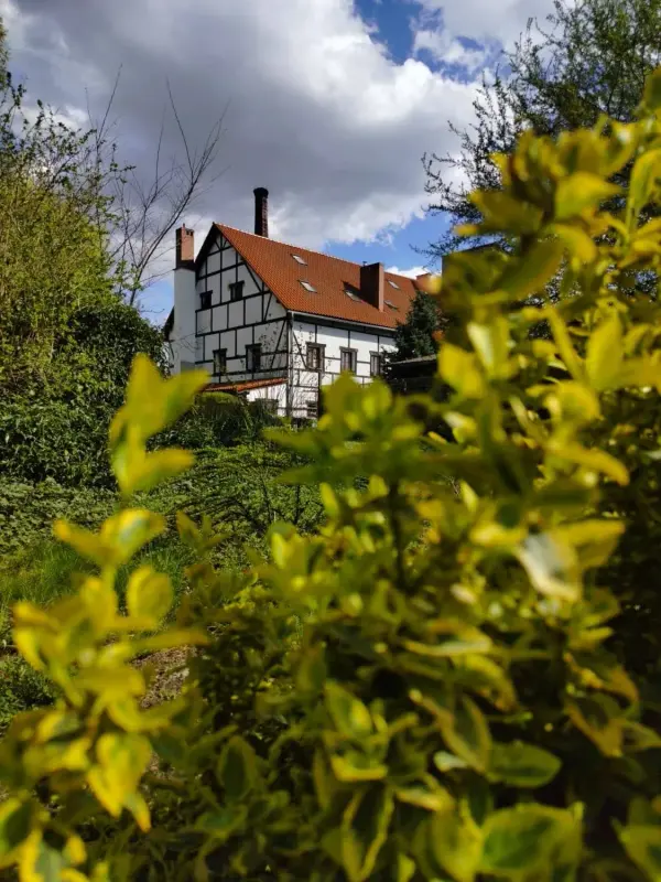 Wesele na Dolnym Śląsku - przewodnik 2026